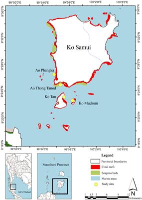 Quantifying blue carbon stocks in interconnected seagrass, coral reef, and sandy coastline ecosystems in the Western Gulf of Thailand
